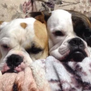 Meet your Posher, Tammy